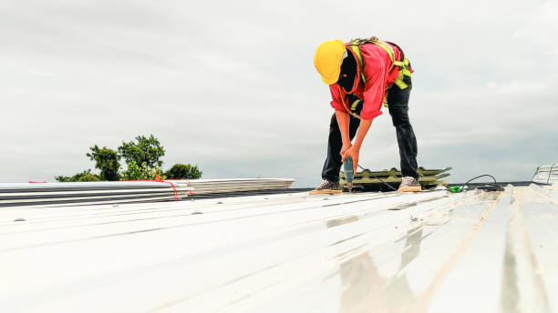 Best Roof Maintenance and Cleaning  in Bressler, PA